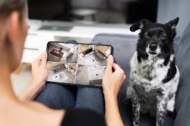 The 9 best gadgets for your pets